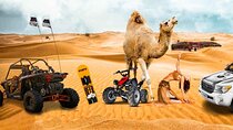 Half Day Desert Safari || Sand Boarding || Camel Ride || Inland Sea Visit ||