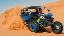 Qatar Dune Buggy Private Experience