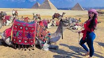 Day Trip to Cairo From Sharm El-Sheikh by Bus