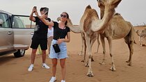 Private Morning Desert Safari From Dubai