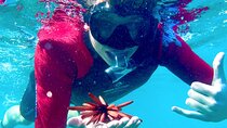 Guided Snorkeling for Beginners with Flotation Wetsuit