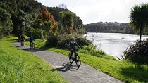 Full Day Guided Waikato River Trail E-bike Tour
