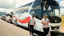 Private Charter Luxury Bus From Nadi Airport to Coral Coast Area