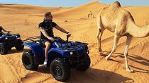 Super Safari ATV, Buggy Car, Camel Ride with Bedouin Dinner 