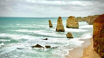 Premium Small Group Great Ocean Road & Wildlife with Lunch