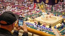 A-rank seat: Tokyo Grand Sumo Tournament Tour with Premium Ticket