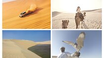 Desert Safari and Inland Sea(Private Tour)