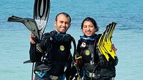 Boat Try Scuba Diving Tour in Dubai