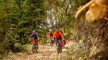 Bike and Ceviche Tour in Cusco - MTB