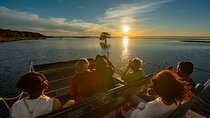 1-Hour Sunset Airboat Ride near Orlando