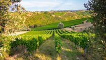 Full-Day Private Algarves Wine Tour Experience from Albufeira