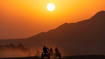Hurghada : ATV Quad With Dinner and Show 