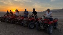Marsa Alam Adventure: 3 Hours Quad Biking & Camel Ride