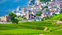 Full Day Private Rhine Valley Wine Tour Experience from Frankfurt