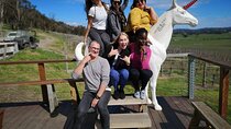Private Tour: Yarra Valley Wine, Cheese, Bubbles & Chocolaterie 