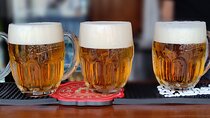 Private Full Day Tour: Pilsner Urquell Brewery + Beer Museum