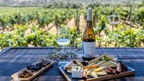 Best Wines of Crete: Wine Tasting Tour & traditional Lunch