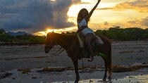 Beach Sunset on Horse Riding in Punta Cana(Private Option)