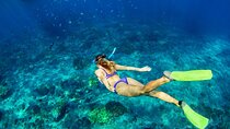 Nusa Lembongan Island and Snorkeling Adventure 