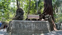 Ubud Monkey Forest Sanctuary Entrance Ticket All Inclusive
