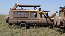 5 Days Safari in Tarangire, Serengeti & Ngorongoro 