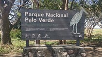 7 Hour Private Tour in Palo Verde National Park with Pickup