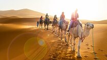 Sunset & Sunrise In Merzouga Desert by Camel Ride or Jeep Safaris