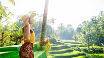 Private Shore Excursion: Customized Best of Bali Tour