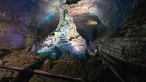 Private Tour Manjanggul cave & Jeju stone park in jeju island