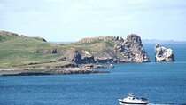 Howth - Howth Cliffs & Ireland's Eye 1 hour Tour
