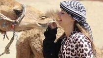Super Safari Hurghada : Camel ride& Dinner & Quad Bike& Buggy car