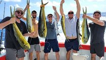 4 Hours Private Fishing Tour Punta Cana