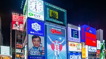 Osaka Flavor Walk Private Tour: Dotombori District & Beyond