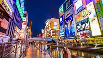 Osaka Nightlife Private Tour: Bar Hopping, Shopping & Sightseeing