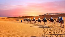 Sahara Tour Private 5-Days from Marrakech to Merzouga