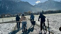 Interlaken Valley Winter E-Bike Tour: Rivers, Lakes & Castles