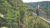 2-Days Chimpanzee trekking & Canopy walkway in Nyungwe NP