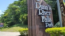 Dunns River Falls With Private Transportation from Montego Bay