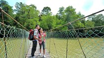 Amazing Taman Negara Day Trip from Kuala Lumpur Including Lunch