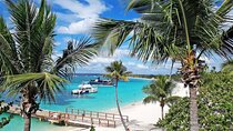 Saona Island Tour and Catamaran Party from Punta Cana