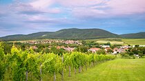 Full-Day Private Etyek Wine Tour Experience from Budapest