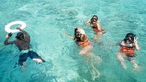 Punta Cana: Catamaran Tour, Reef Snorkeling and Unlimited Drinks!