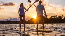 2-Hour Stand Up Paddleboard Rental from Lake Buena Vista Area