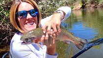 AZ Trout Fishing, on foot 2hrs. session! up to 4 people