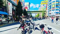 Tokyo Deep Inside Cycle Tour～3 Hours E Bike Tour around Tokyo 