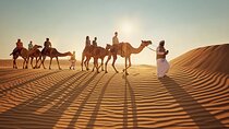Dubai Ras Al Khaimah Private Desert Safari Tour From Dubai