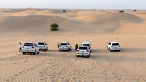 Morning Desert Safari with Quad Bike Tours 