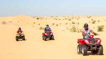 Private Quad Bike Tour Abu Dhabi 