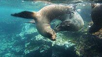 10 Days Galapagos Island Hopping