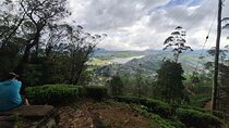 3 Hours Private Walking Tour in Nuwara Eliya with Pickup